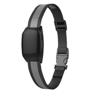 Gotop TE-200 Gotop TE-200