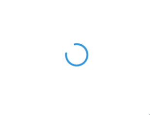 Web interface