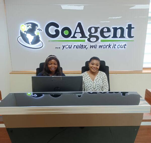 Lagos, Nigeria logistics company GoAgent creates mobile platform with Navixy API