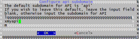 Automatic installation api-domain