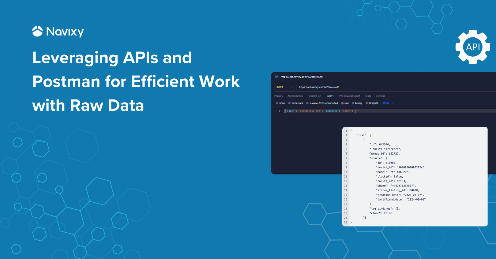 Leveraging APIs and Postman for Efficient Work with Raw Data